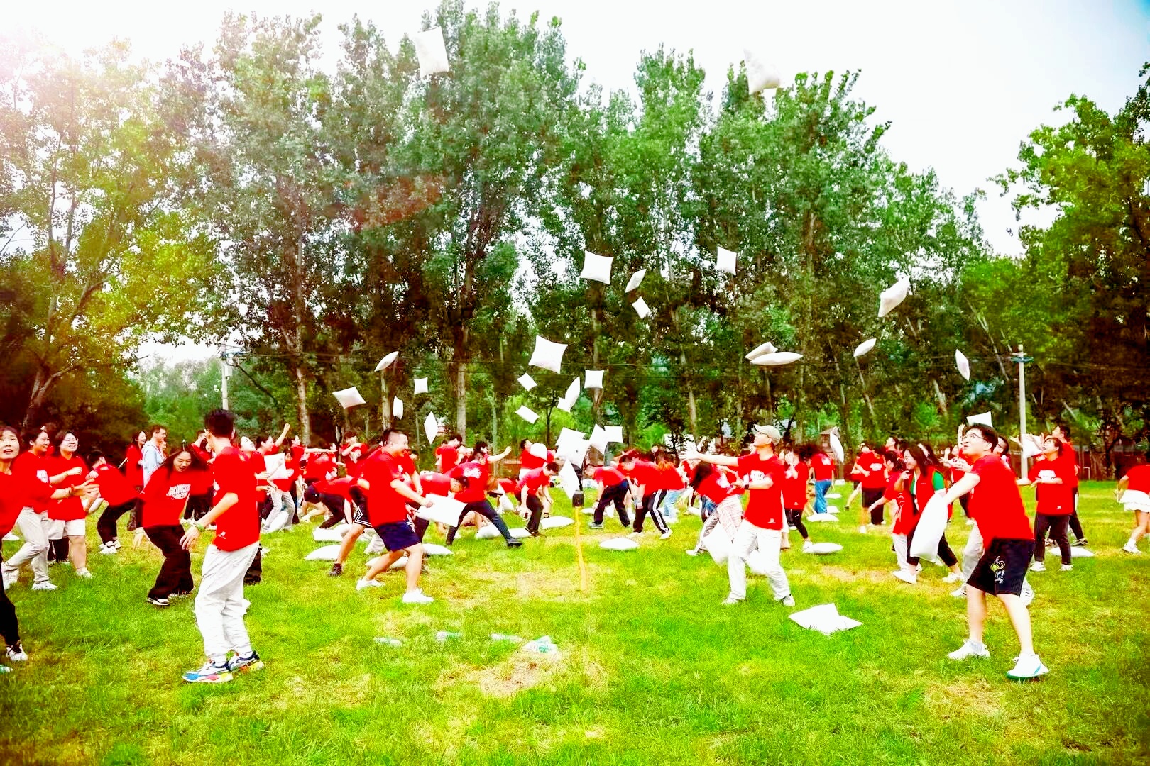 充气趣味运动会道具枕头大战出租出售